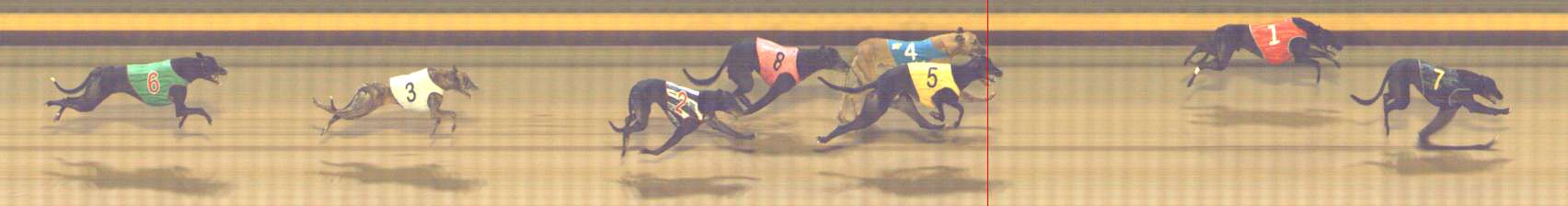 Photo finish for Shepparton Race 9