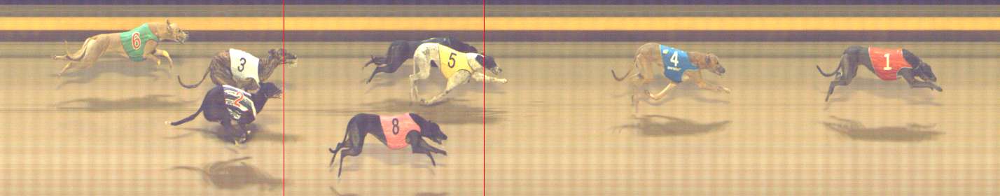 Photo finish for Shepparton Race 10