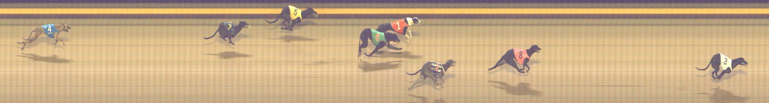Photo finish for Shepparton Race 11