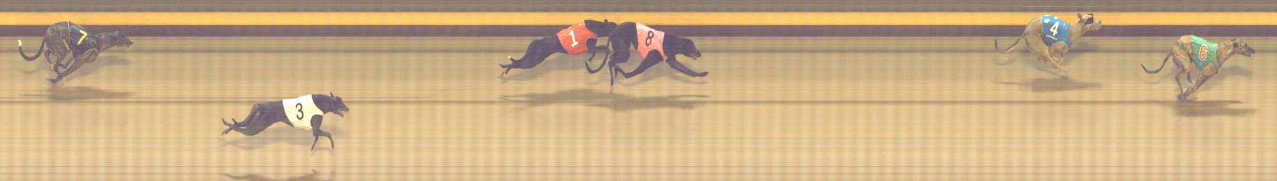 Photo finish for Shepparton Race 12