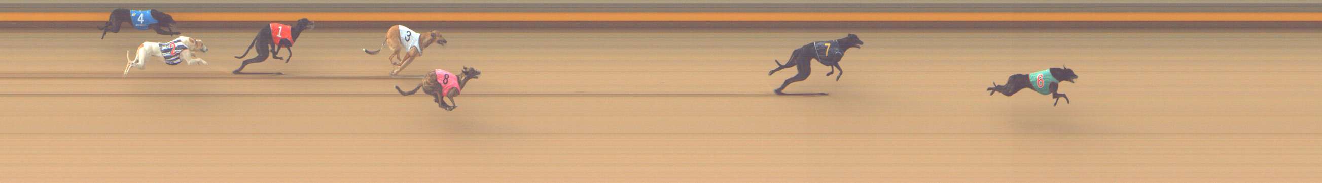 Photo finish for Shepparton Race 1