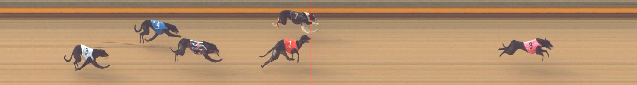 Photo finish for Shepparton Race 2