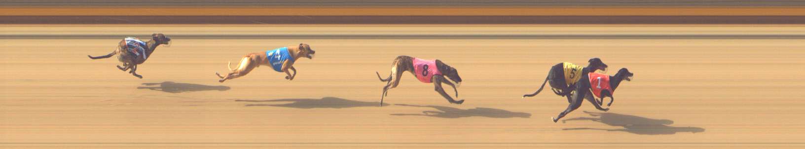 Photo finish for Shepparton Race 3