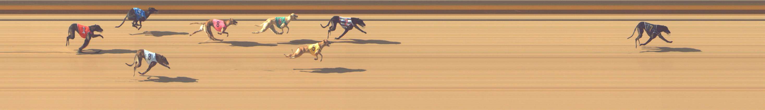 Photo finish for Shepparton Race 4