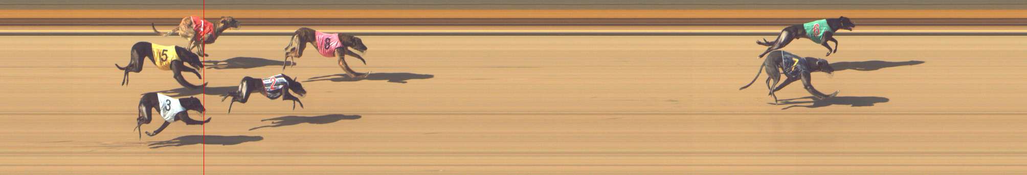 Photo finish for Shepparton Race 6