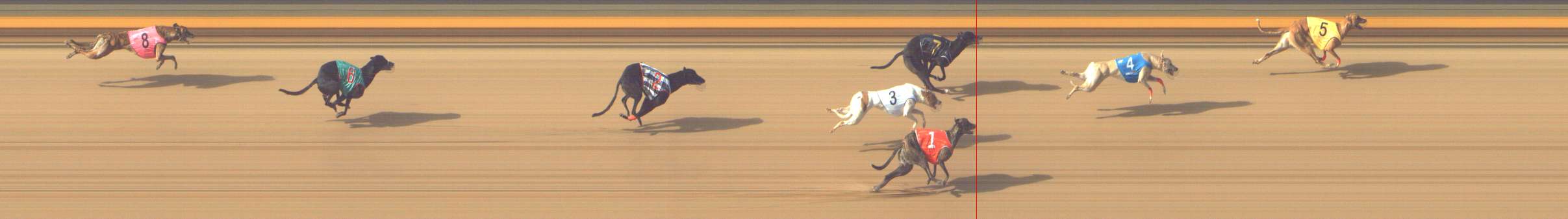 Photo finish for Shepparton Race 7