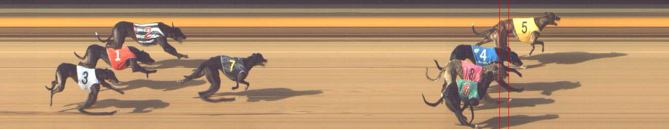 Photo finish for Shepparton Race 8