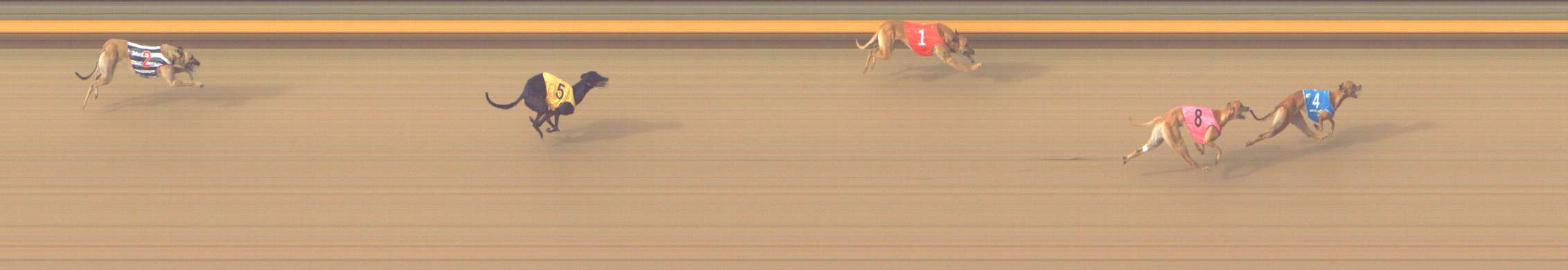 Photo finish for Shepparton Race 10