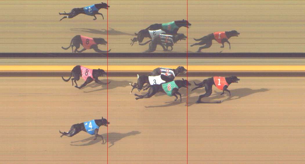 Photo finish for Shepparton Race 11