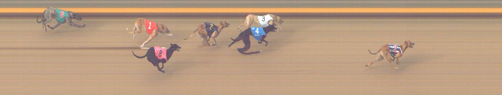 Photo finish for Shepparton Race 12