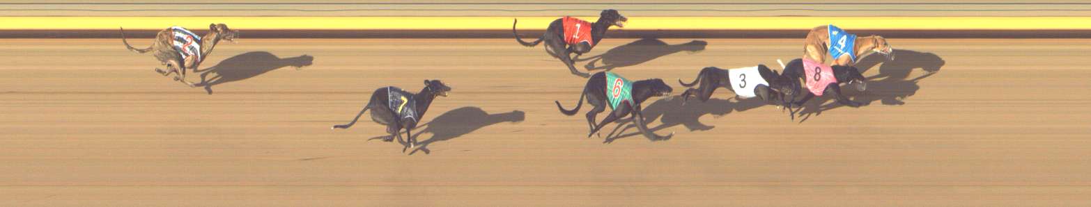 Photo finish for Shepparton Race 13