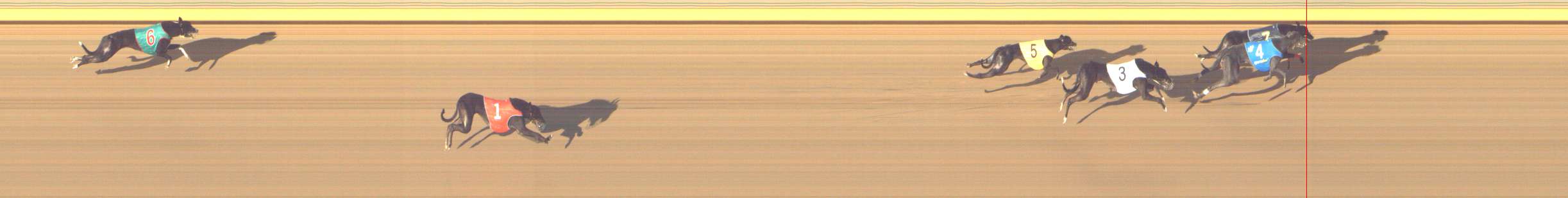 Photo finish for Shepparton Race 14