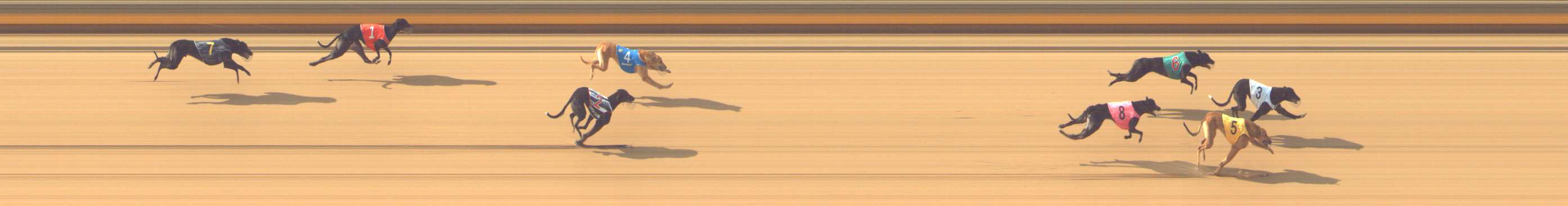 Photo finish for Shepparton Race 2