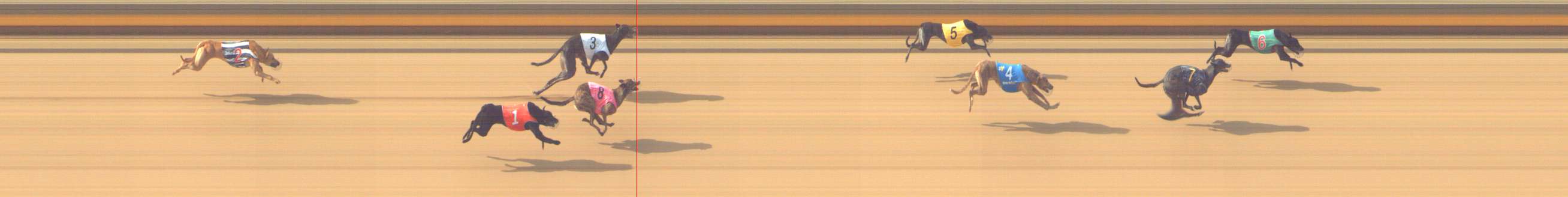 Photo finish for Shepparton Race 3