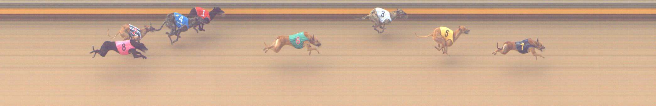 Photo finish for Shepparton Race 4