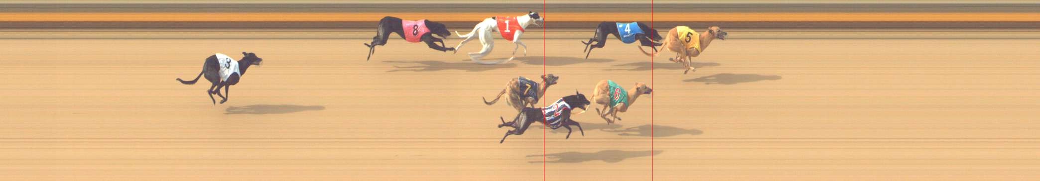 Photo finish for Shepparton Race 5