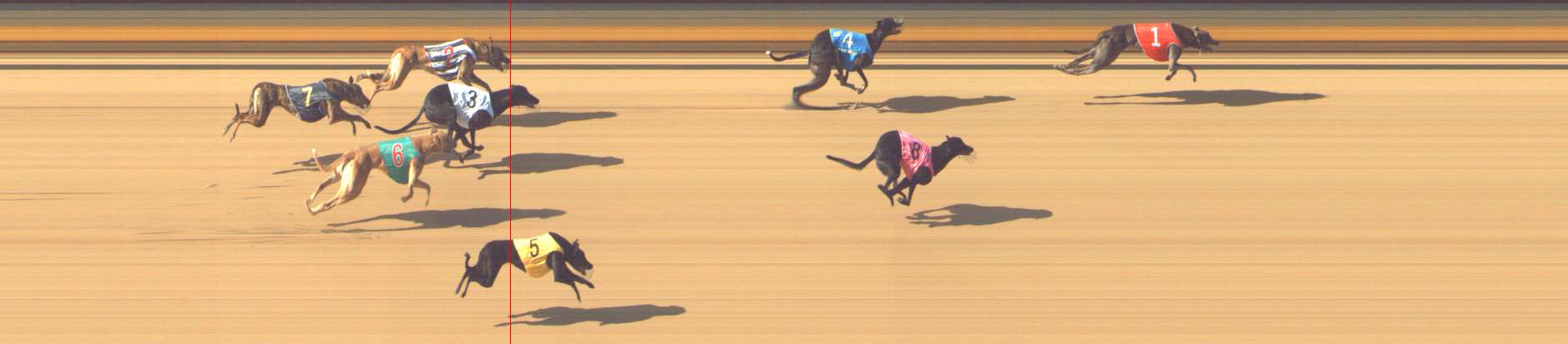Photo finish for Shepparton Race 6
