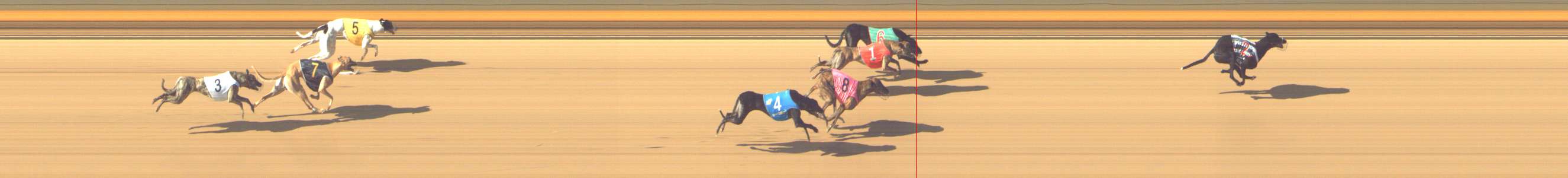 Photo finish for Shepparton Race 7
