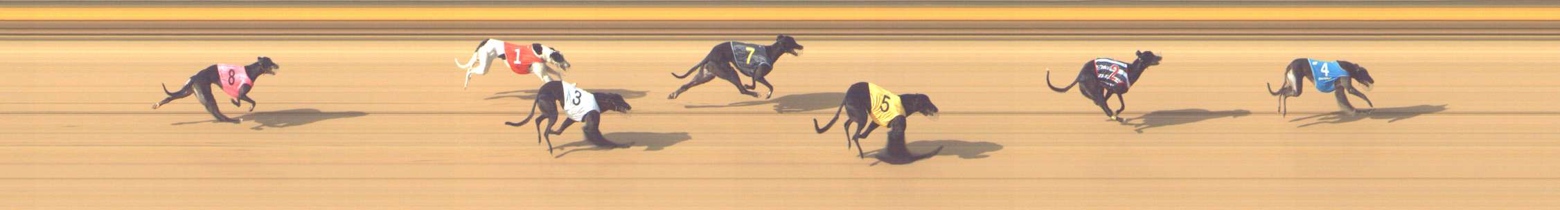Photo finish for Shepparton Race 8