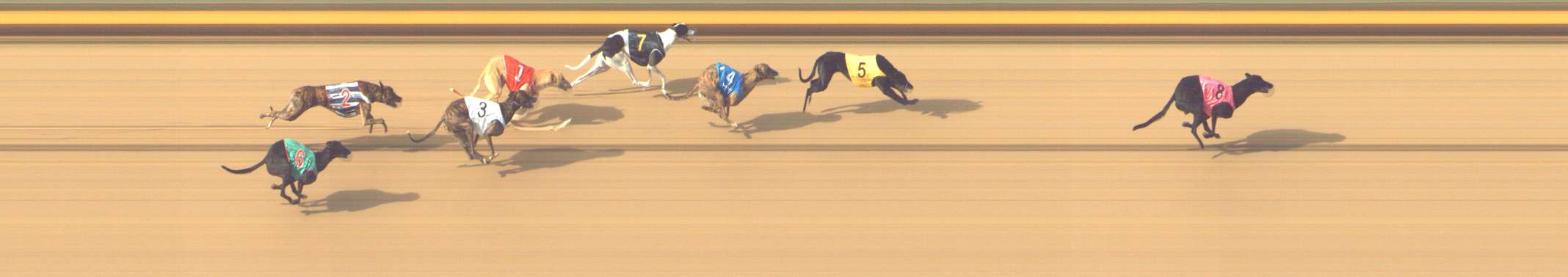 Photo finish for Shepparton Race 9