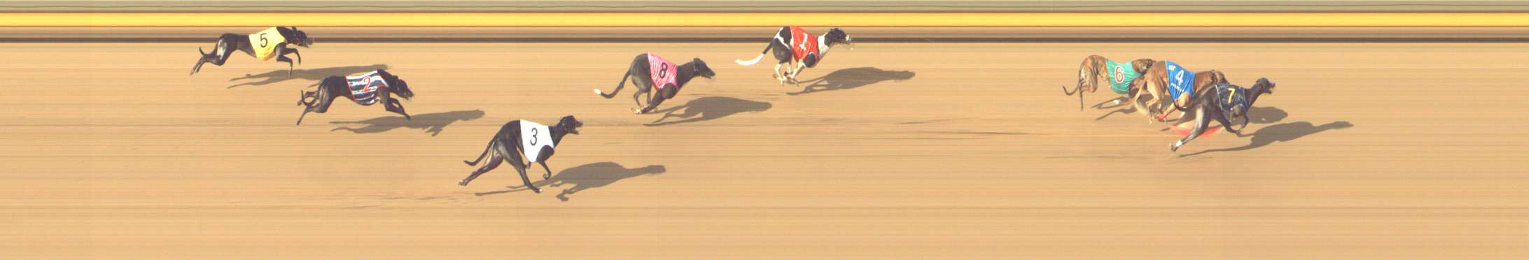 Photo finish for Shepparton Race 10