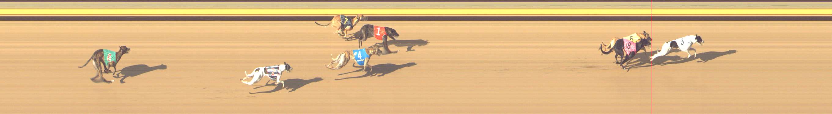 Photo finish for Shepparton Race 11