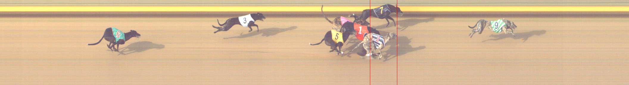 Photo finish for Shepparton Race 12
