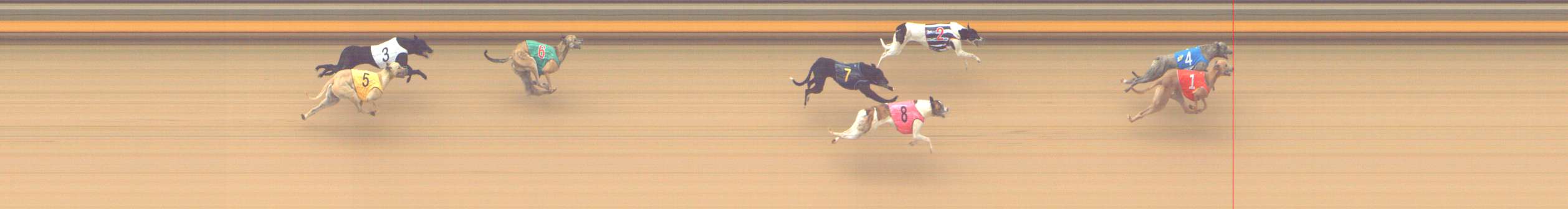 Photo finish for Shepparton Race 13