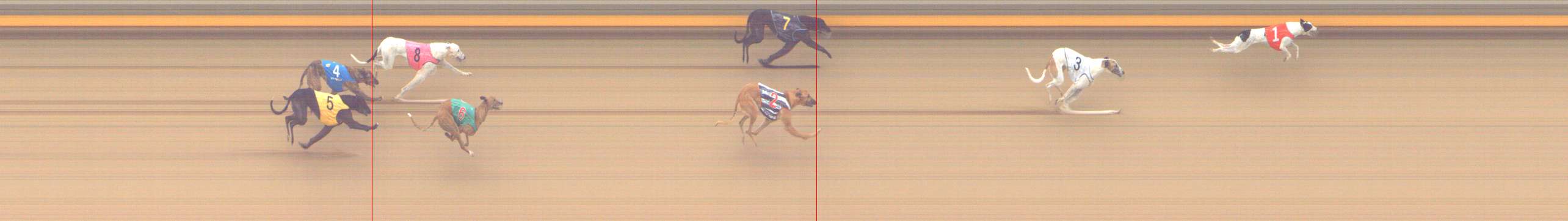 Photo finish for Shepparton Race 14