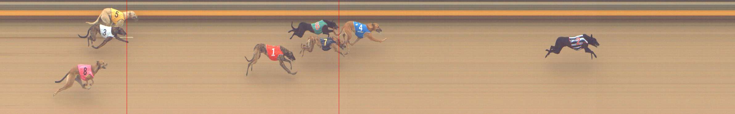 Photo finish for Shepparton Race 1
