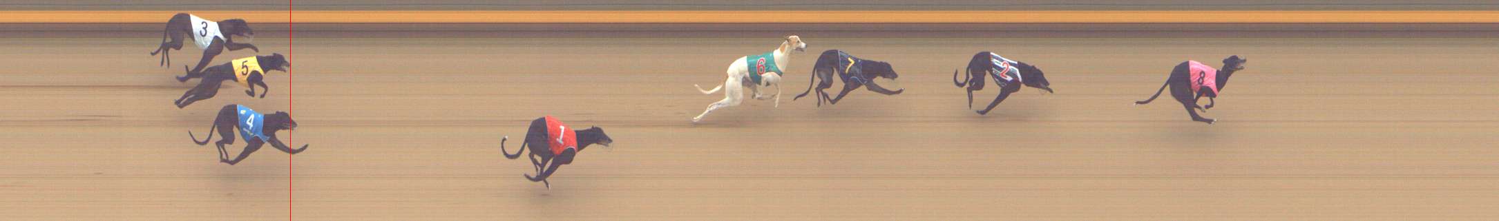 Photo finish for Shepparton Race 2