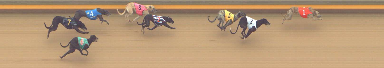 Photo finish for Shepparton Race 3