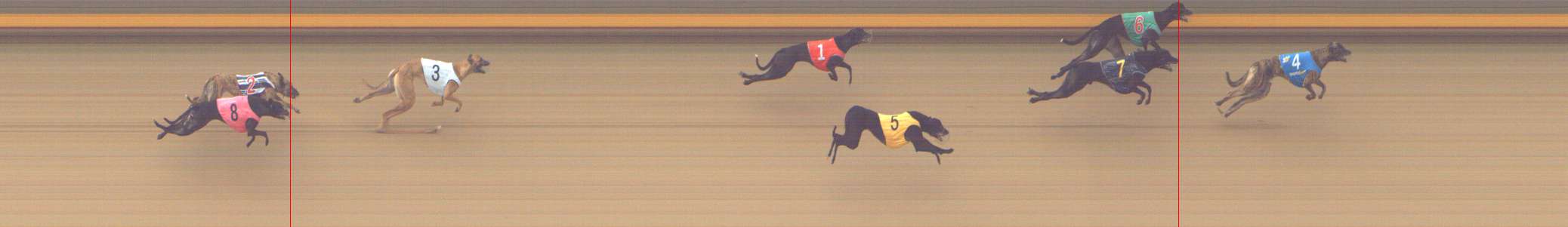 Photo finish for Shepparton Race 5