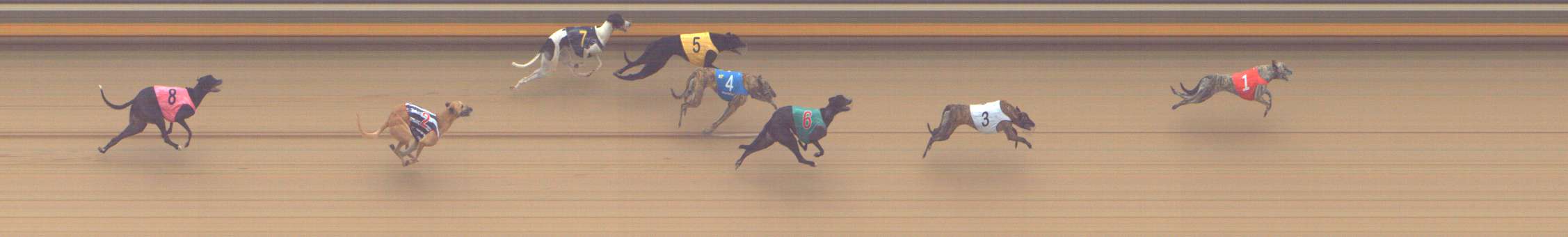 Photo finish for Shepparton Race 6