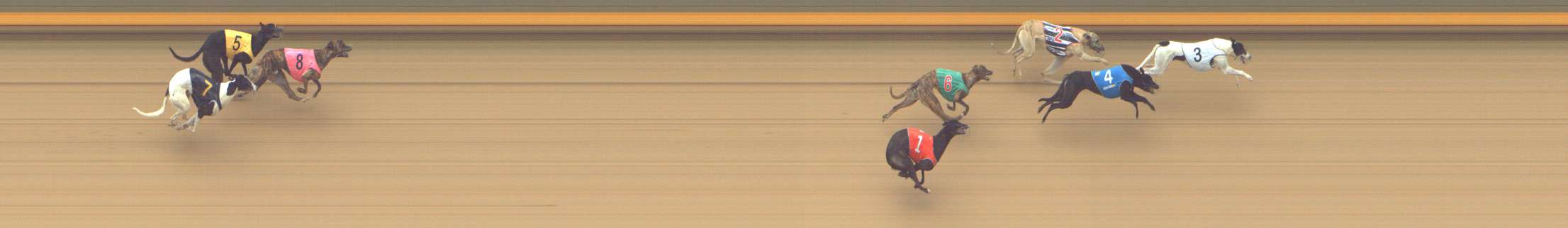 Photo finish for Shepparton Race 7
