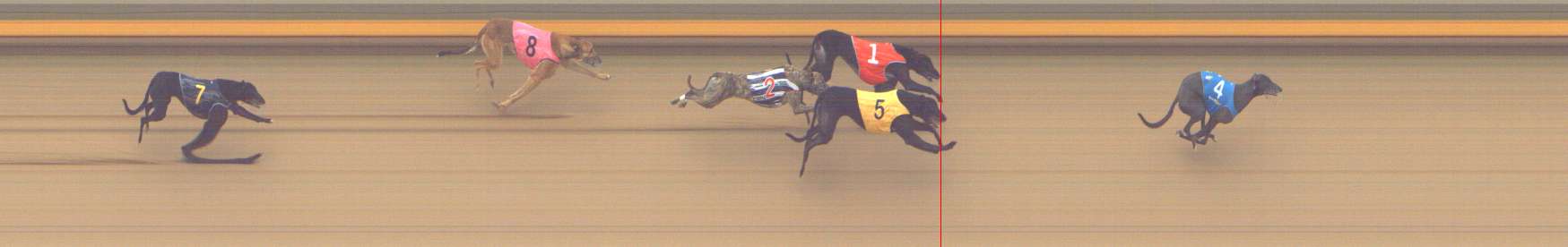 Photo finish for Shepparton Race 8