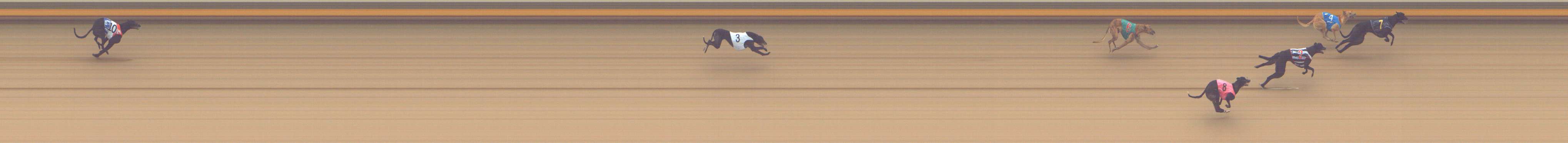Photo finish for Shepparton Race 9
