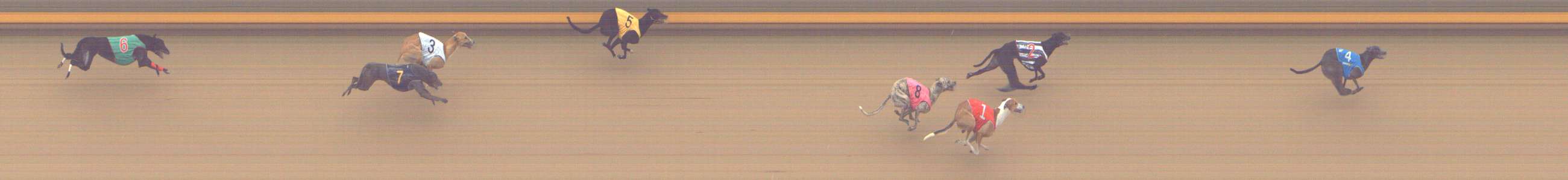 Photo finish for Shepparton Race 10