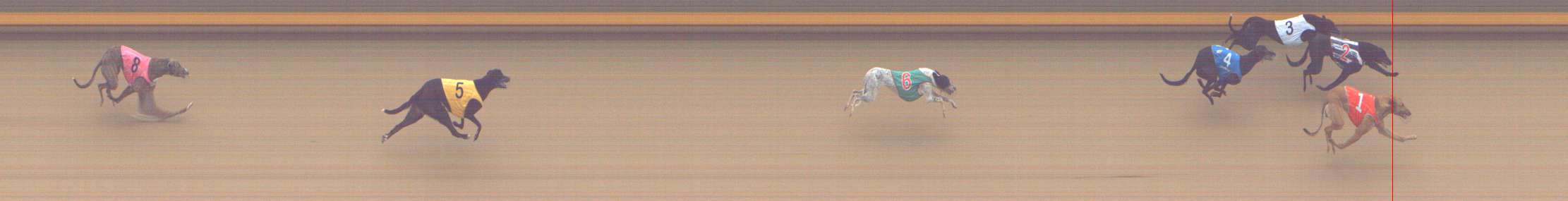 Photo finish for Shepparton Race 11
