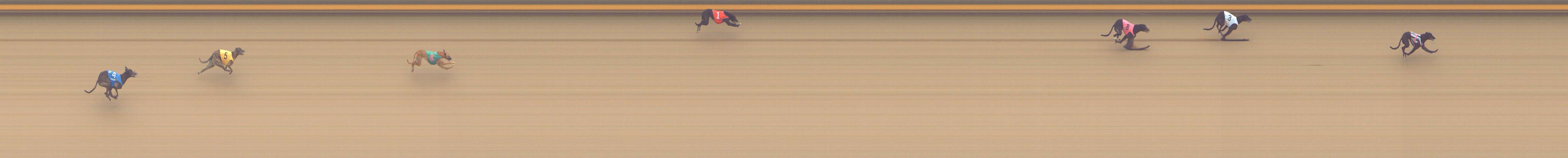 Photo finish for Shepparton Race 12