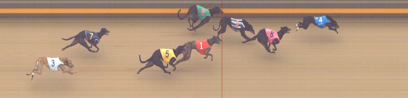 Photo finish for Shepparton Race 13