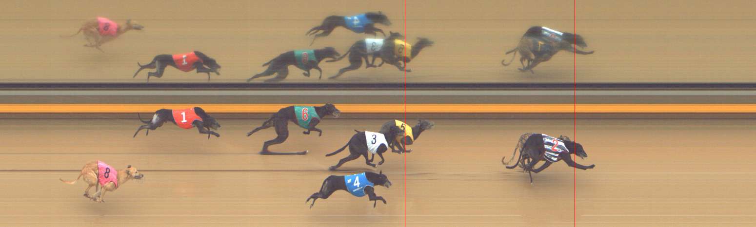 Photo finish for Shepparton Race 14