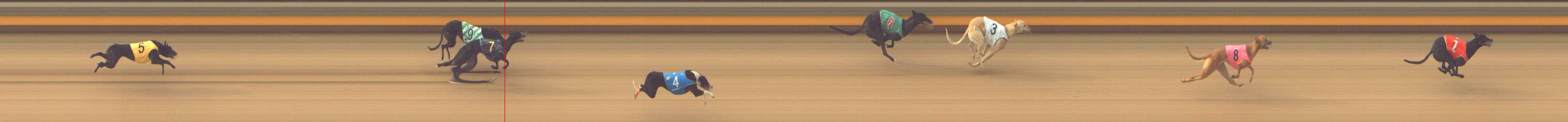 Photo finish for Shepparton Race 1