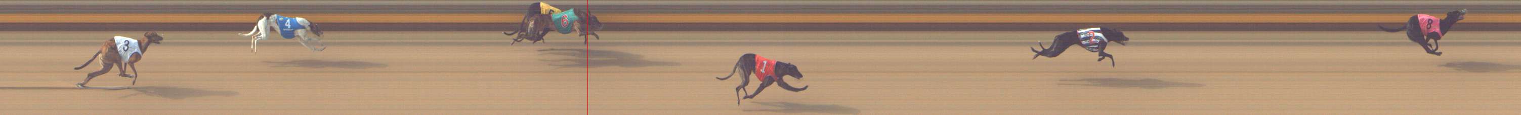 Photo finish for Shepparton Race 2