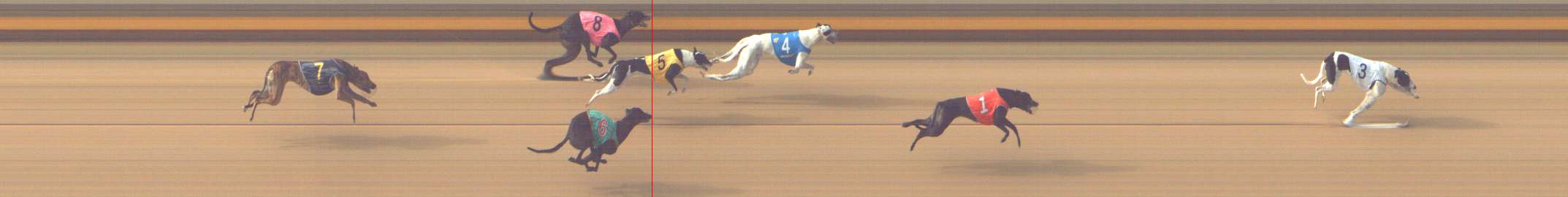 Photo finish for Shepparton Race 3