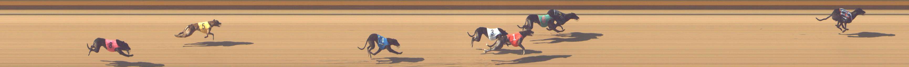 Photo finish for Shepparton Race 4