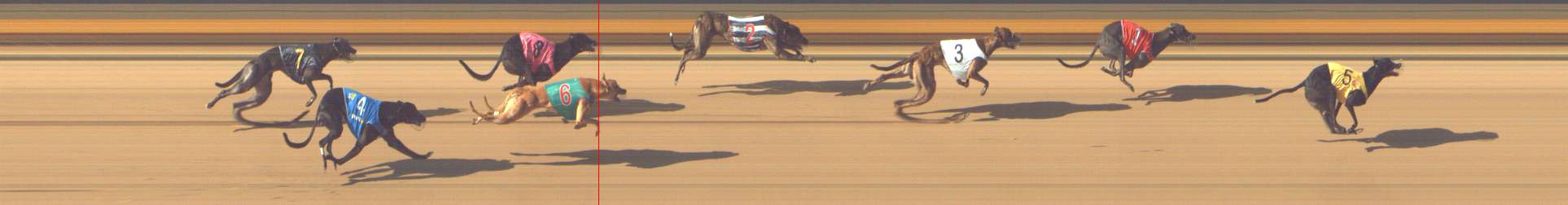 Photo finish for Shepparton Race 5