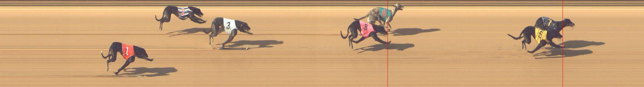 Photo finish for Shepparton Race 6