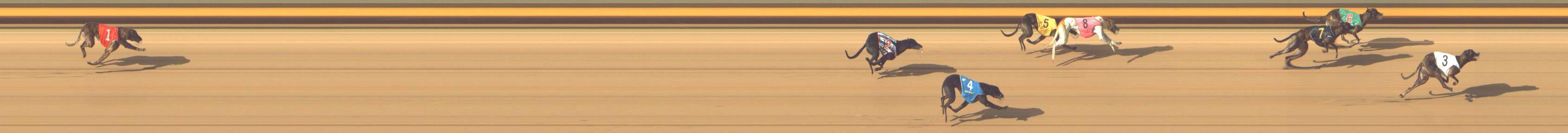 Photo finish for Shepparton Race 7