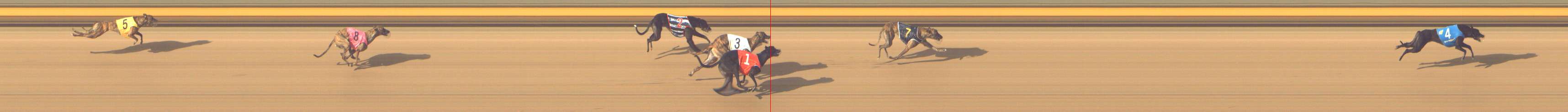 Photo finish for Shepparton Race 8